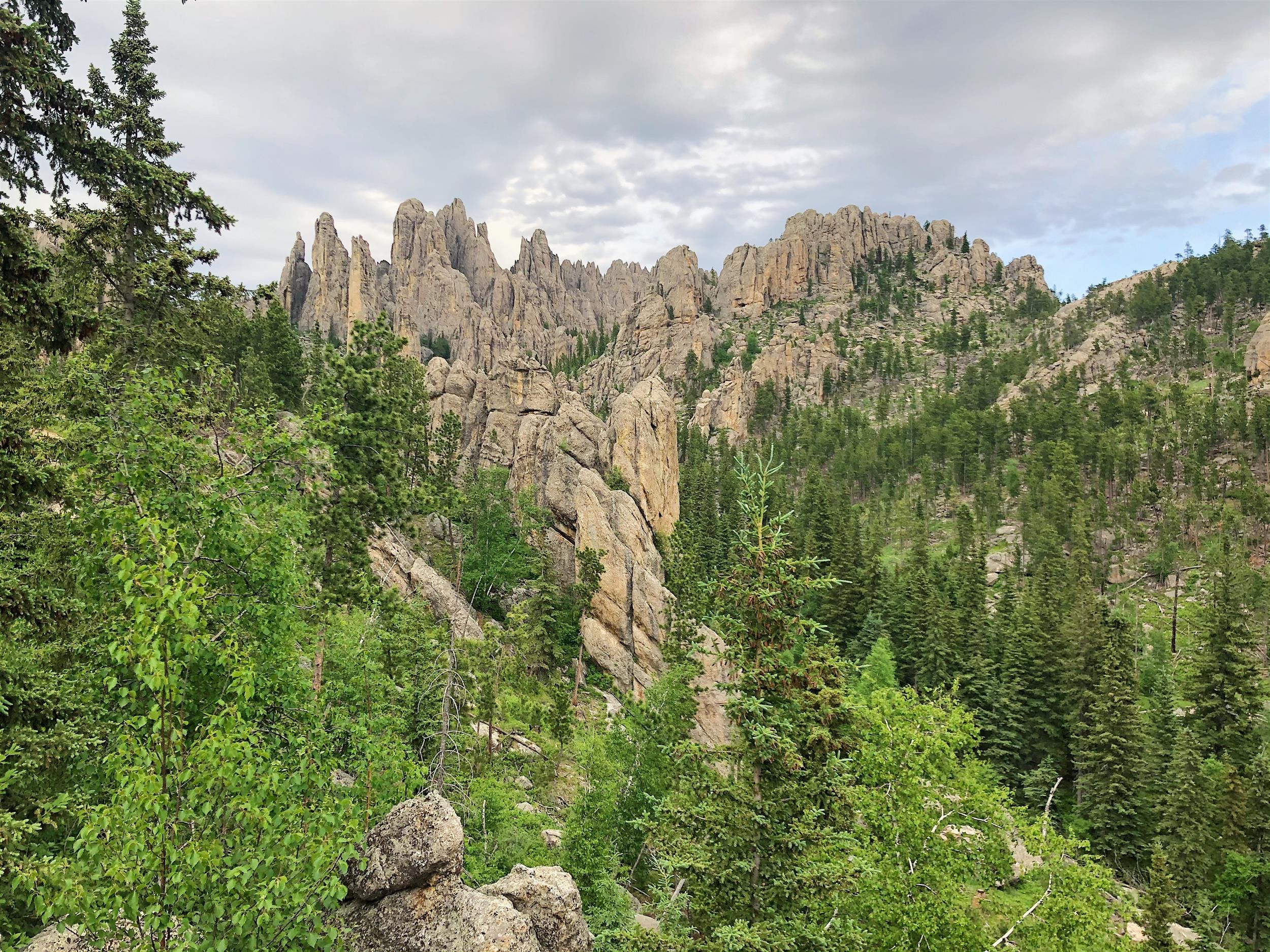 Custer Cathedrals
